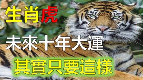 2023屬虎運勢1974|1974年属虎人2023年运势运程 1974年属虎人2023年运势及运程每。